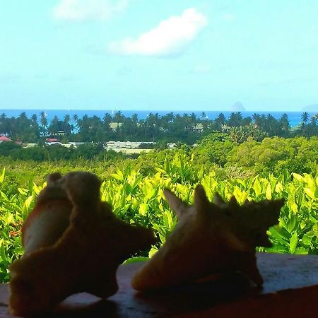 Studios Carribean Sea View Sainte-Anne Εξωτερικό φωτογραφία