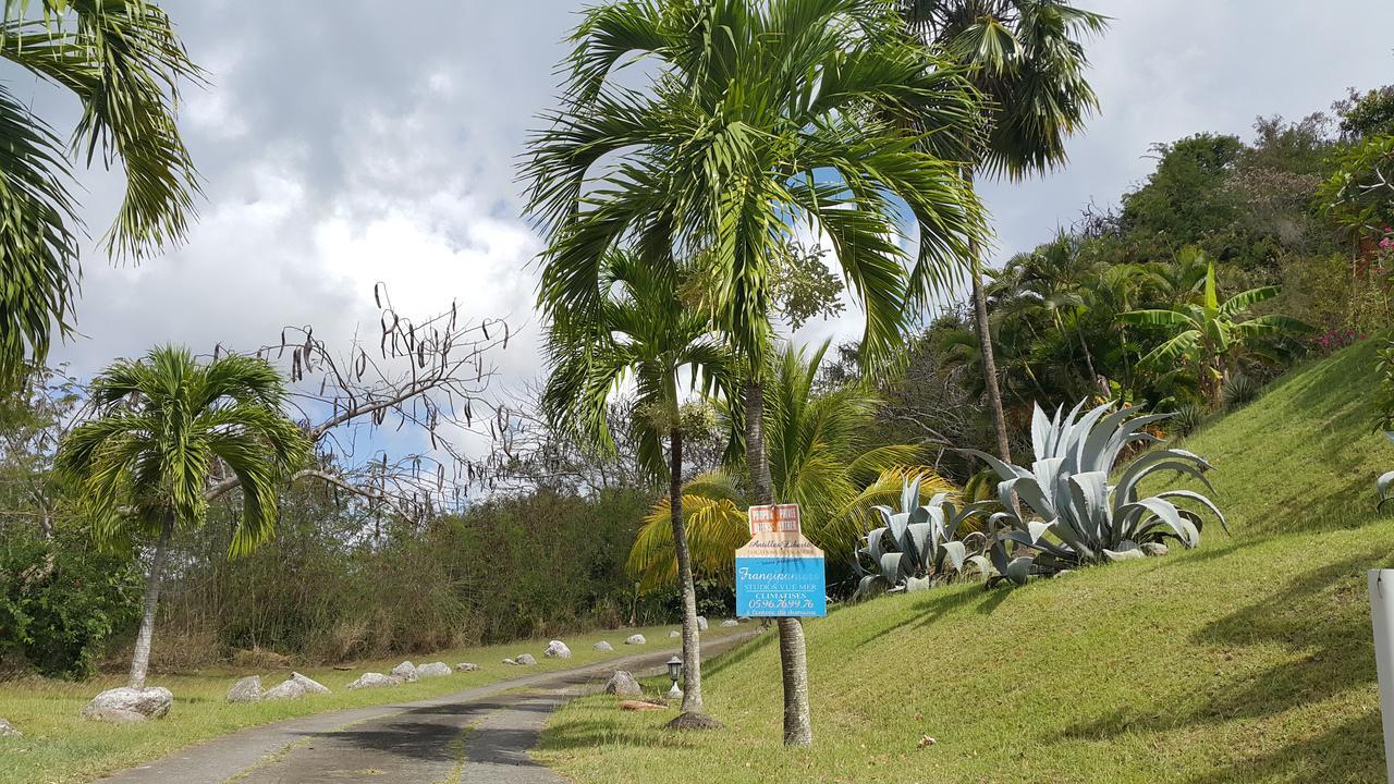 Studios Carribean Sea View Sainte-Anne Εξωτερικό φωτογραφία