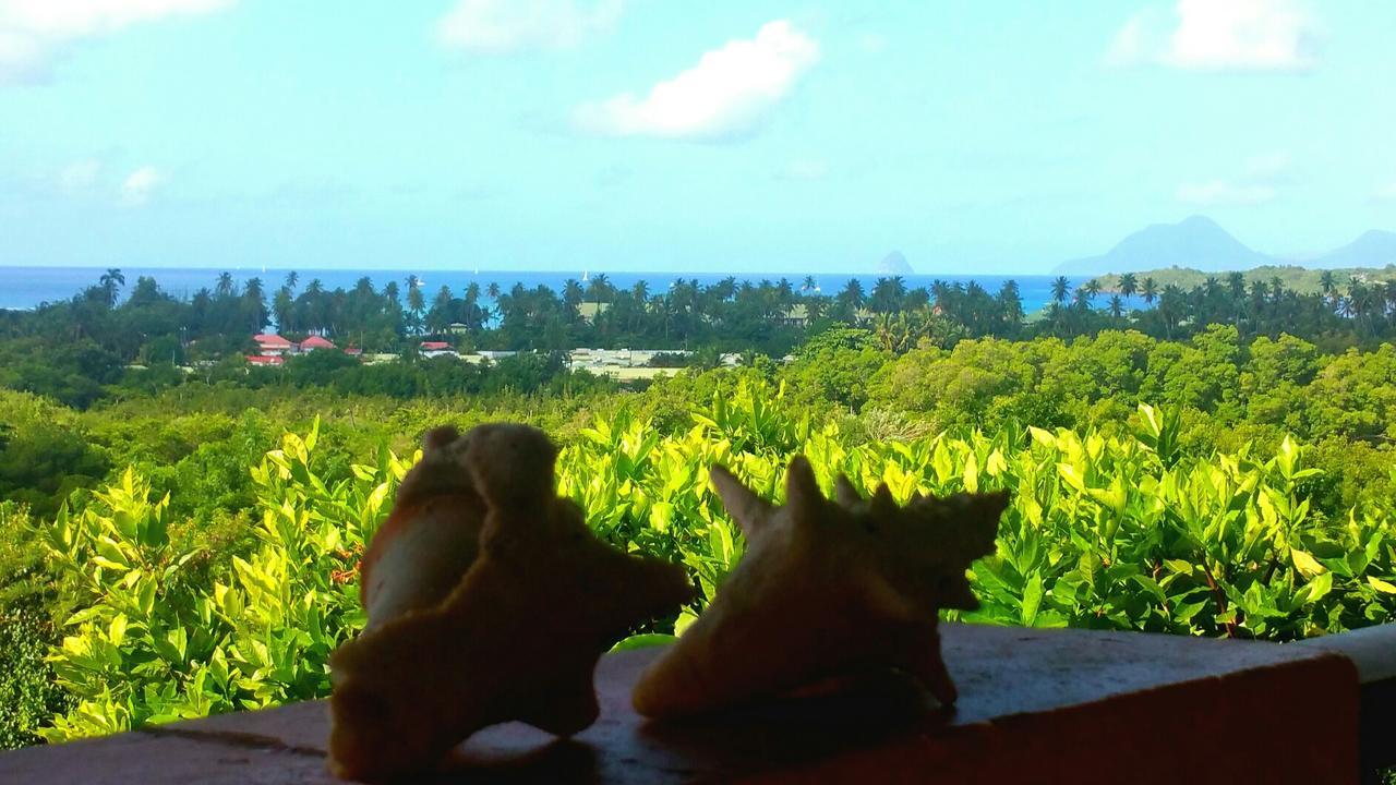 Studios Carribean Sea View Sainte-Anne Εξωτερικό φωτογραφία